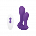 Vibrator mit Fernbedienung