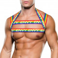 Rainbow Harness