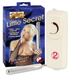 "Silvia Saint ""Little Secret"""