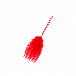 Red Feather