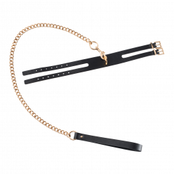 GP Premium - Collar Leash Set