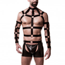 Harness-Set, 4 teilig